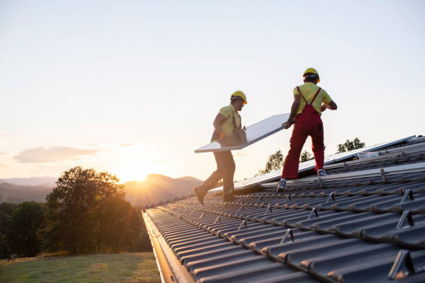 Best Roof Moss and Algae Removal  in Mabank, TX